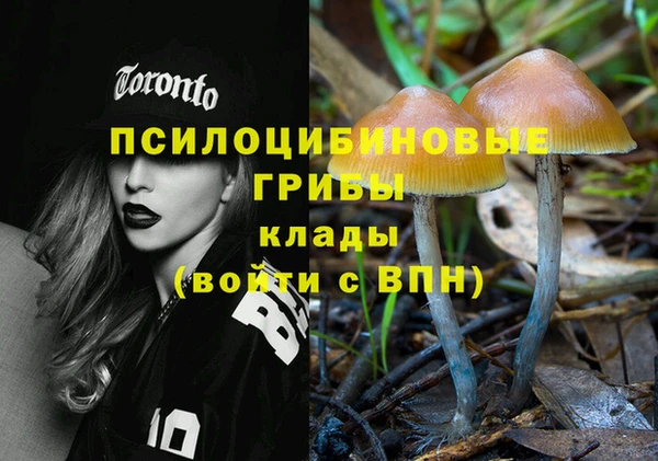 дживик Гусь-Хрустальный