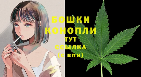 кокс Гусиноозёрск