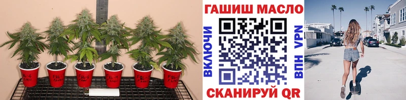 Дистиллят ТГК Wax  где можно купить   Нижняя Салда 